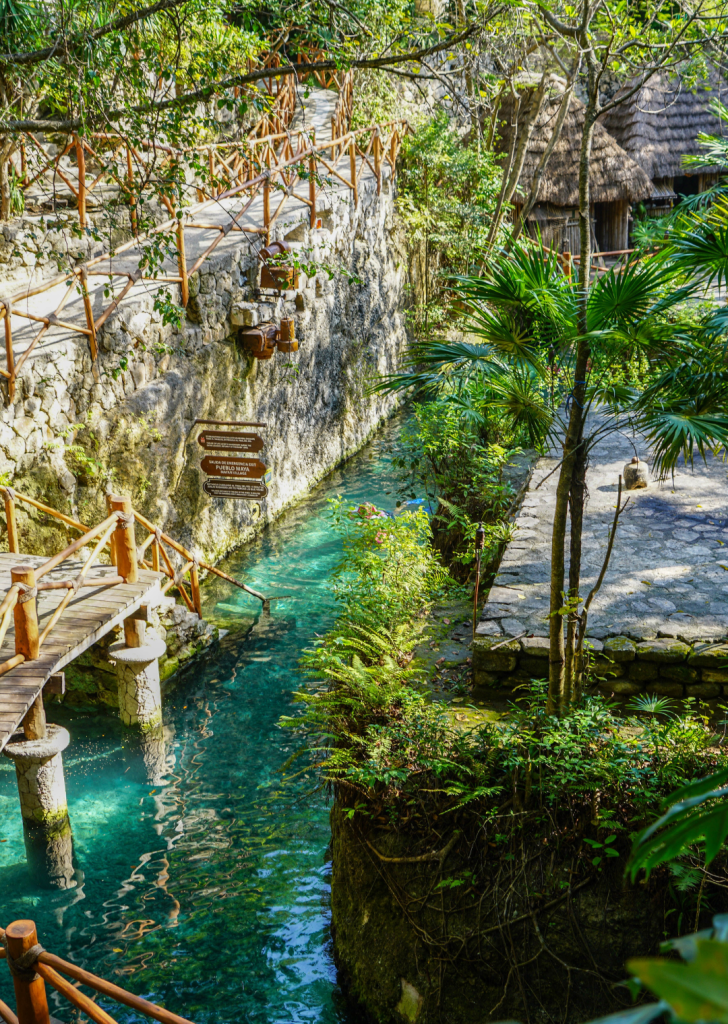 Untitled design - 2024-12-31T030738.718